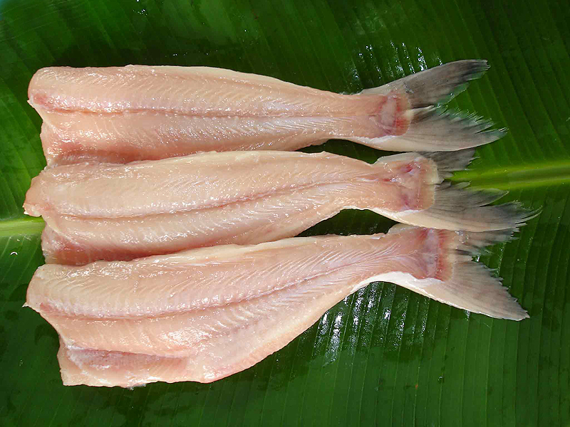 PANGASIUS WHOLE ROUND GUTTED