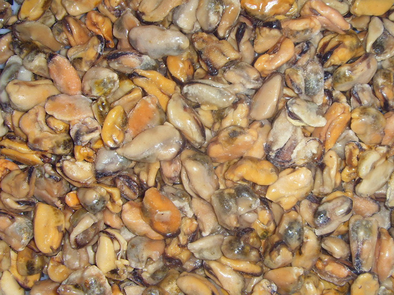 MUSSELS MEAT (Mytilus edulis)